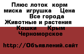 Плюс лоток, корм, миска, игрушка. › Цена ­ 50 - Все города Животные и растения » Кошки   . Крым,Черноморское